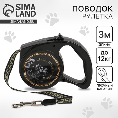 Рулетка «Сила. Нрав. Мощь» 3 м, max=12 кг, чёрная