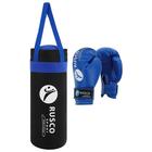 Набор боксёрский для начинающих RuscoSport: мешок, перчатки, 6 унций, цвет чёрный/синий - фото 110417842