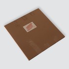 Зеркало настенное «Отражение», d зеркальной поверхности 31 см, цвет матовое золото 6937844