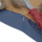 УЦЕНКА Набор щеток металлических для дрели ТУНДРА, плоская 65 мм, чашка 50 мм + щетка однорядная - Фото 4