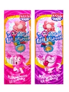 Зефир «Зефирный шашлычок», на палочке в банке, 12 г - Фото 2