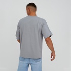 Футболка мужская KAFTAN Tiger, размер 50, серая 7025438