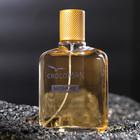 Туалетная вода мужская CrocoMAN Homme, 100 мл (по мотивам Lacoste Pour Homme (Lacoste) - Фото 2