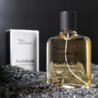 Туалетная вода мужская CrocoMAN Platinum, 100 мл (по мотивам Egoiste Platinum (Chanel) - Фото 1