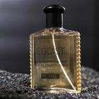 Туалетная вода мужская Prestige Egoist, 100 мл (по мотивам Egoiste Platinum (Chanel) - Фото 2