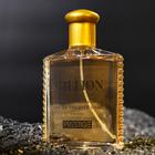 Туалетная вода мужская Prestige Million, 100 мл (по мотивам 1 Million (P.Rabanne) - Фото 2