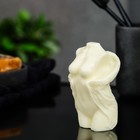 Мыло фигурное "Торс женский с крыльями" молочное, 125г - Фото 3