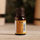 Эфирное масло "Апельсин" 15 мл Банная забава - Фото 2