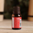 Эфирное масло «Сосна» 15 мл Банная забава - Фото 2