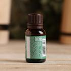 Эфирное масло «Эвкалипт» 15 мл Банная забава - Фото 2