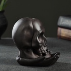 Подставка для благовоний TAKE IT EASY «Череп», стелющийся дым, 10×8×8 см, с подсветкой, батарейки LR=44 - Фото 9