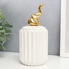 Шкатулка керамика "Золотой слонёнок" белая, гофре 16х7х7 см - фото 9365142