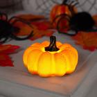 Светодиодная фигура «Тыква» 7 × 4 × 7 см, пластик, батарейки AG13х3, свечение тёплое белое - Фото 1