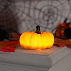 Светодиодная фигура «Тыква» 7 × 4 × 7 см, пластик, батарейки AG13х3, свечение тёплое белое - Фото 5