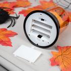 Светодиодная фигура «Свеча с ведьмой» 9 × 13 × 9 см, пластик, батарейки АААх3 (не в комплекте), свечение тёплое белое - Фото 3