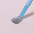 Набор кистей для макияжа «Pastel», 8 предметов, PVC-чехол, цвет МИКС - Фото 10