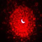 Световой прибор «Монпансье» 5 см, лазерный, 5 В, d=14 см, USB, MicroUSB, динамик, реагирует на звук, свечение мульти - Фото 5