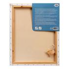 Холст на подрамнике «Гамма. Студия», хлопок 100%, акриловый грунт, 2×40×50 см, 400 г/м², крупное зерно - Фото 2