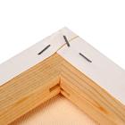 Холст на подрамнике «Гамма. Студия», хлопок 100%, акриловый грунт, 2×40×50 см, 400 г/м², крупное зерно - Фото 3