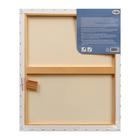 Холст на подрамнике, хлопок 100%, акриловый грунт, 2 х 50 х 60 см, 400 г/м2, крупное зерно, Гамма "Студия" - Фото 2