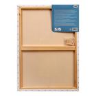 Холст на подрамнике «Гамма. Студия», хлопок 100%, акриловый грунт, 2×50×70 см, 400 г/м², крупное зерно - Фото 2