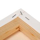 Холст на подрамнике «Гамма. Студия», хлопок 100%, акриловый грунт, 2×50×70 см, 400 г/м², крупное зерно - Фото 3