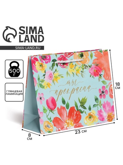 Пакет подарочный ламинированный, упаковка, Beautiful, MS 23 х 18 х 8 см