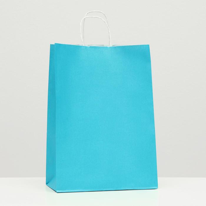 Пакет крафт лазурный, 22×12×31 см - Фото 1