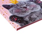 Колледж-тетрадь в твердой обложке 7БЦ, А5, 64 листа, Киса, блок в клетку, глянцевая ламинация - Фото 3