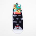 Носки детские «Мишка и снежинки» цвет синий, размер 20-22 7306995