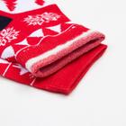 Носки детские «Узоры и олени» цвет красный, размер 20-22 - фото 22668425