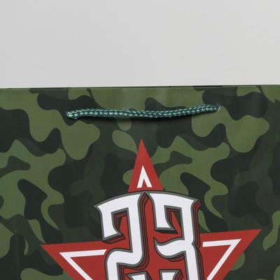 Пакет подарочный ламинированный, упаковка, «С праздником!», L 28×38×9 см