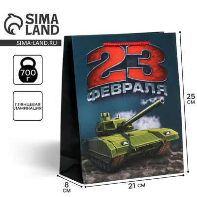 Пакет подарочный ламинированный, упаковка, «С 23 февраля», ML 25×21×8 см