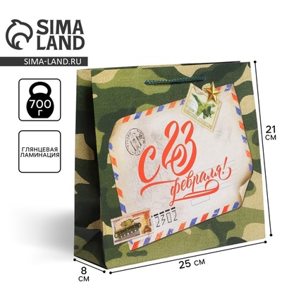 Пакет подарочный ламинированный, упаковка, «С 23 февраля», ML 25×21×8 см