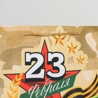 Пакет подарочный ламинированный, упаковка, «С 23 февраля», L 28 х 38 х 9 см 6631936