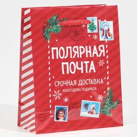 Пакет ламинированный вертикальный «Полярная почта», S 11,5 х 14,5 х 5,5 см, Новый год 6765812