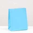 Пакет крафт "Радуга" голубой, 22 х 12 х 27 см - фото 318603205