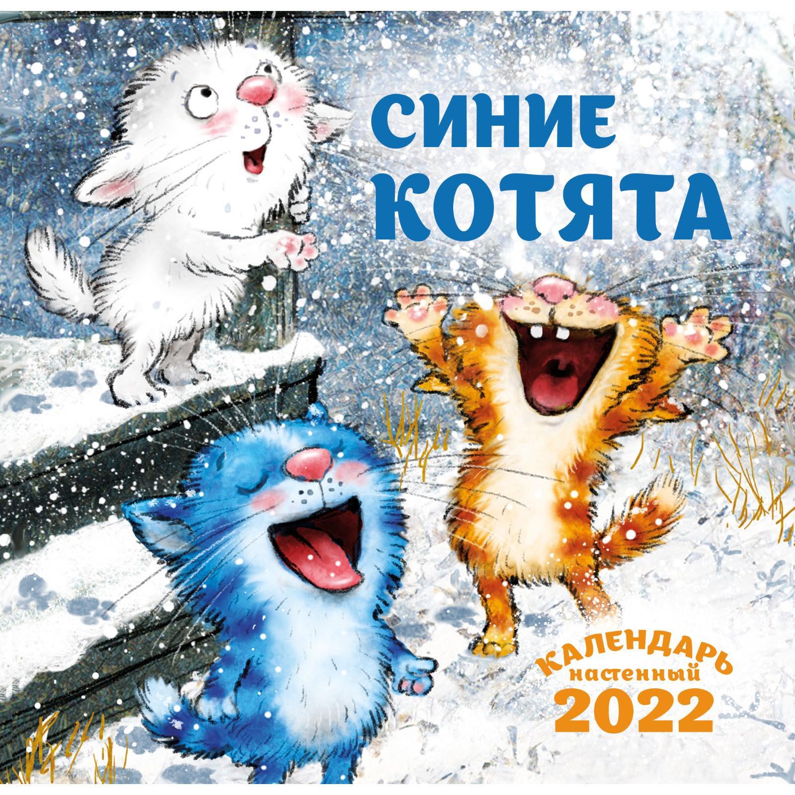 Синий котик
