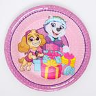 Набор бумажной посуды "С днем рождения!" Скай и Эверест, Щенячий патруль, на 6 персон 66291 - Фото 2