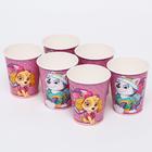 Набор бумажной посуды "С днем рождения!" Скай и Эверест, Щенячий патруль, на 6 персон 66291 - Фото 3