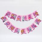 Набор бумажной посуды "С днем рождения!" Скай и Эверест, Щенячий патруль, на 6 персон 66291 - Фото 5