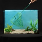 Сачок аквариумный 22 см, зелёный - Фото 1
