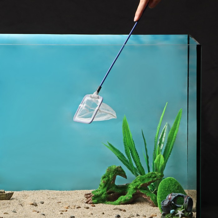 Сачок аквариумный 7,5 см, синий - Фото 1
