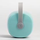 Контейнер для хранения и стерилизации детских сосок и пустышек, цвет серый/бирюзовый - фото 30994664 Контейнер для хранения и стерилизации детских сосок и пустышек, цвет серый/бирюзовый - фото 30994664