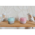 Контейнер для хранения и стерилизации детских сосок и пустышек, цвет серый/бирюзовый - фото 30994668 Контейнер для хранения и стерилизации детских сосок и пустышек, цвет серый/бирюзовый - фото 30994668