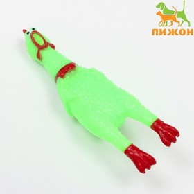 Игрушка пищащая "Курица" малая для собак, 16,5 см, ярко-зелёная 6244383