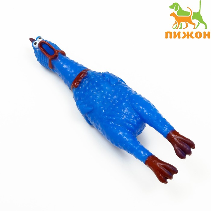 Игрушка пищащая "Задумчивая курица" малая для собак, 16,5 см, ярко-синяя - Фото 1
