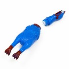 Игрушка пищащая "Задумчивая курица" малая для собак, 16,5 см, ярко-синяя - Фото 4