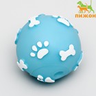 Мячик пищащий "Лапки" для собак, 5,5 см, голубой - фото 318603873