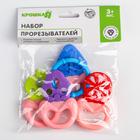 Набор прорезывателей «Ягоды», 4 шт., цвет МИКС, Крошка Я - фото 24677753